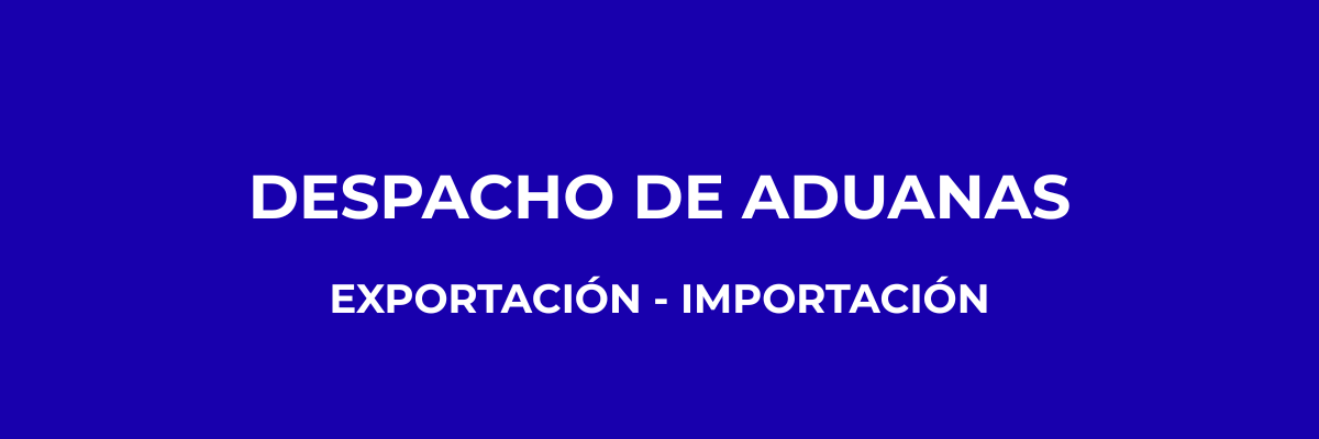 Gestión de Aduanas para Mudanzas Internacionales desde Valencia | Mudanzas Signes